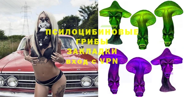 бошки Каменногорск
