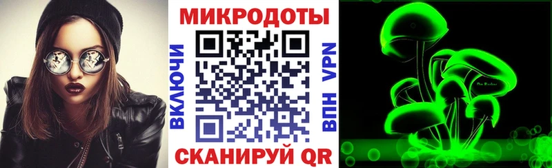 Купить  Кашин  Псилоцибиновые грибы Psilocybe 